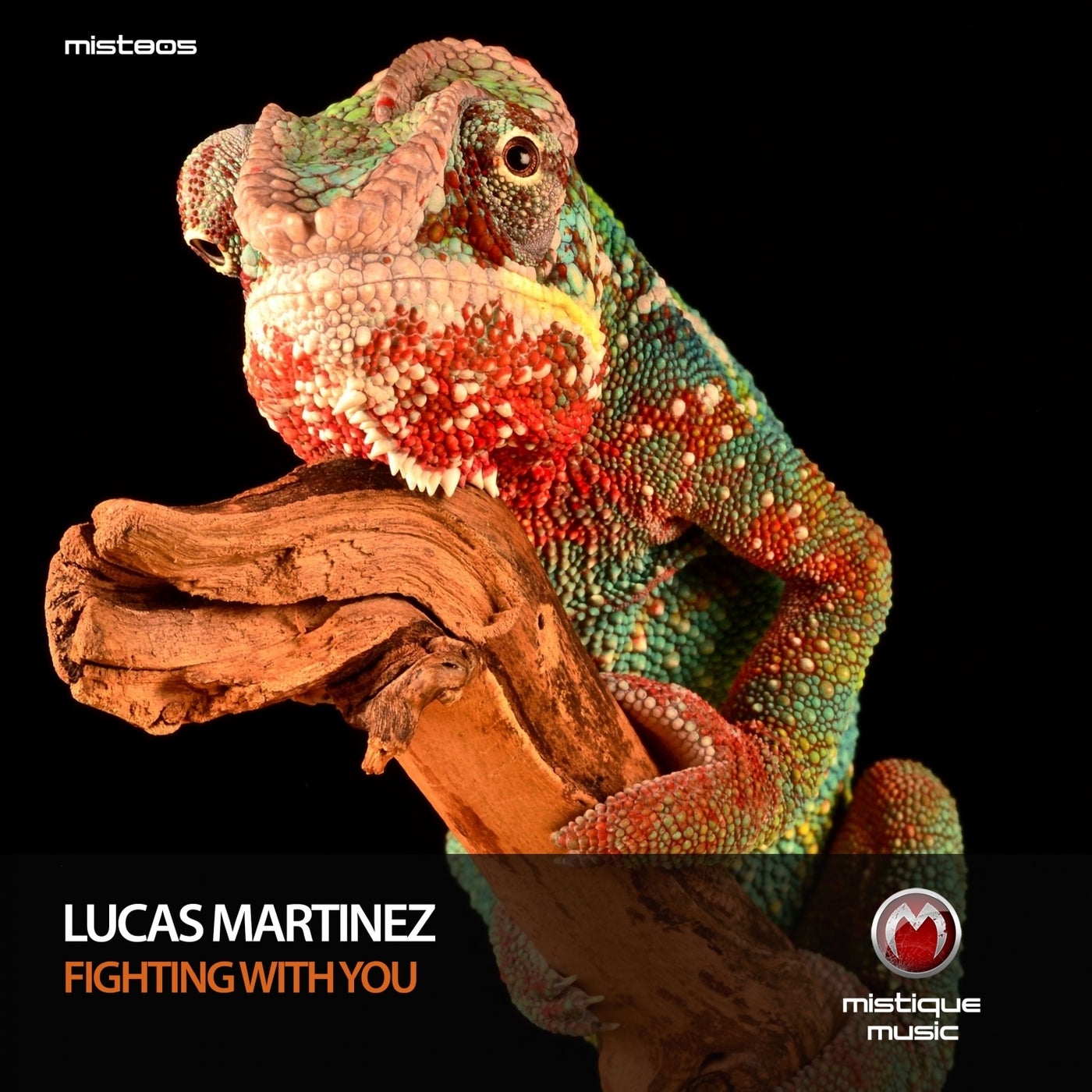 Lucas Martinez – Fighting with You [MIST805]
